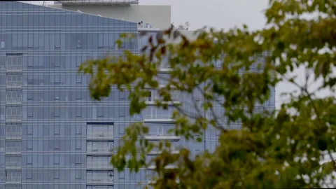 VERY MODERN OFFICE EXT. ESTABLISHING SHOT. 4K LOCK OFF. Stock Footage 235021516