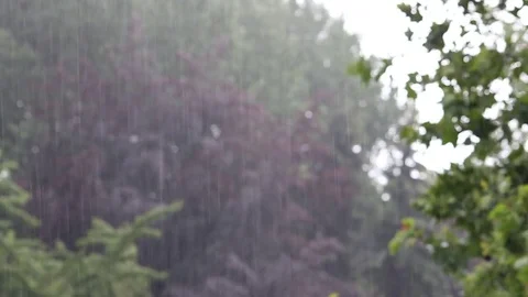 Very much rain falls from the sky Stock-Footage 77601223