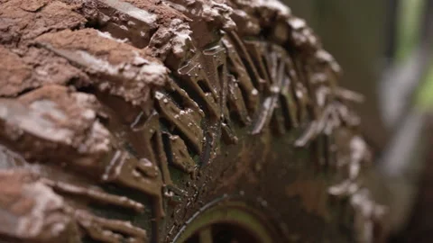 Very Muddy Tire on Side by Side Stock Footage 243205440