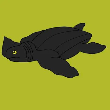 Very nice and graceful turtle vector イラスト素材