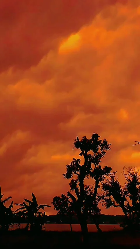 Very nice orange clouds Video stock 237480772