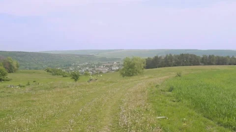 Very nice view of the field and the grass Video stock 89923247