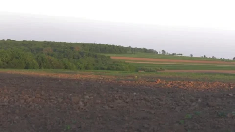Very nice view of the plowed field, grass and forest before sunset Video stock 89922940