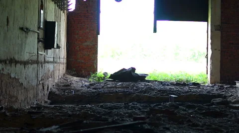 Very old broken brick wall, old ruined room, abandoned building Video stock 57324020