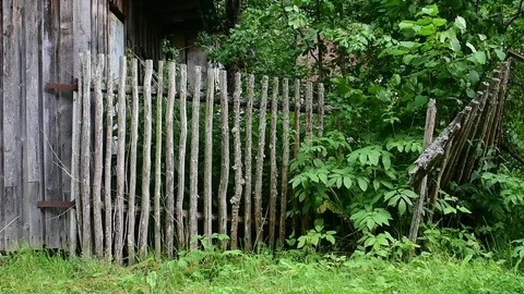 Very old broken fence, wind Stock Footage 116662753
