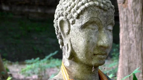 Very old Buddha Stock Footage 69197890