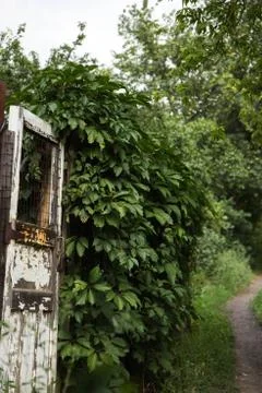 Very old door with pathway and nature Stock Photos