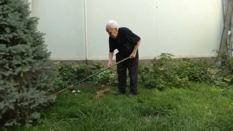 A very old man picks up dry grass from his lawn with a rake Stock Footage 161422221