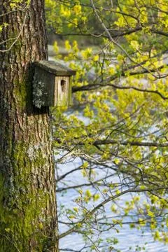 Very old nesting bird box covered in lichen and moss, hanging on a tree in Stock Photos