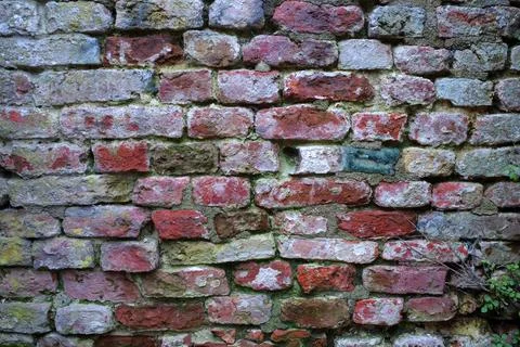 Very old rustic wall  Stock Photos