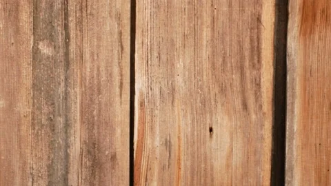 Very old spruce lining with boards Stock Footage 165864805