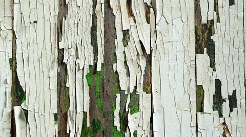 Very old texture background structure 스톡 사진