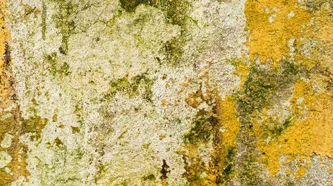 Very old texture background structure Stock Photos