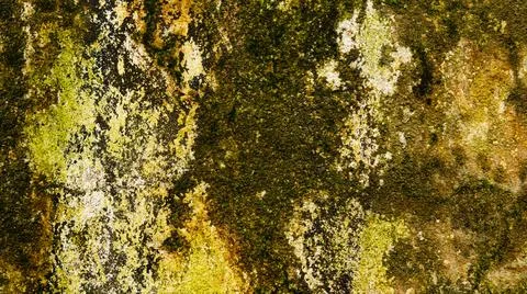 Very old texture background structure Stock Photos