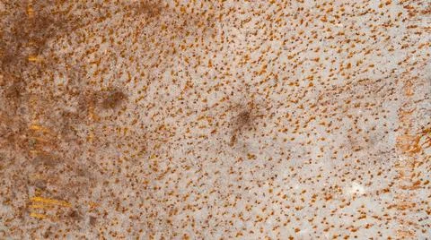 Very old texture background structure Stock Photos