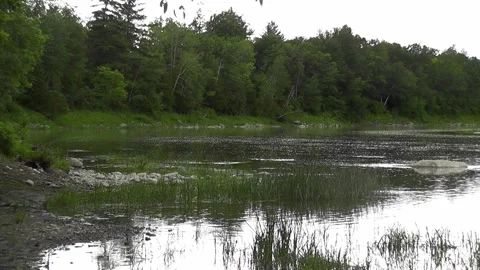 Very quiet lake surrounded by trees in a clearing with a cloudy sky Stock Footage 166331136