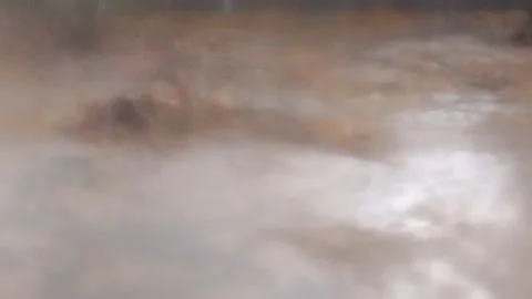 A very rainy day!!! Stock Footage 198075606