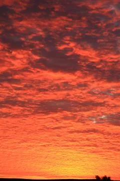 Very red cloudscape Stock Photos