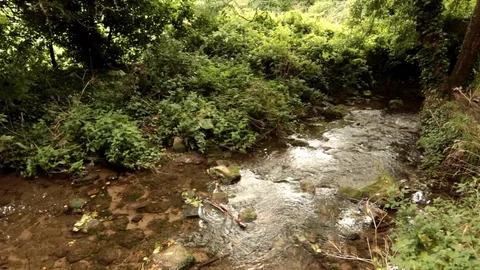 A Very Shallow Running Stream Stock-Footage 94814047