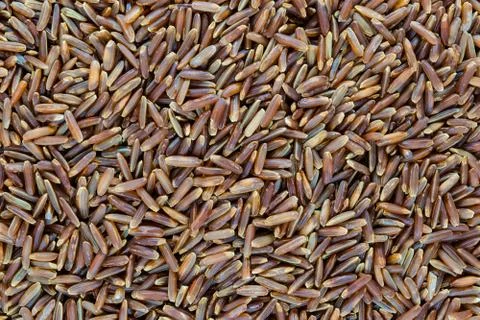 Very Sharp and Clear Background Surface of Red Rice Grains Stock Photos