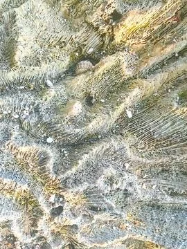 Very sharp coral Stock Photos