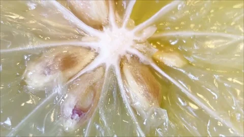 Very sharp lime Stock Footage 317415203