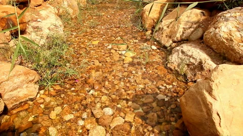 Very short seamless loop of the water in the creek 動画素材 2874550