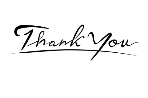Very Simple Vector Script Text Lettering, Thank You, Isolated on White 스톡 일러스트