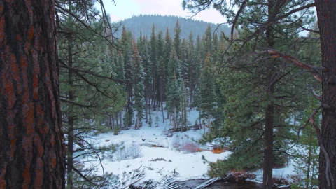 Very slow tilt down from forested snowy ridge to clearing, rushing creek, logs Stock Footage 172992435