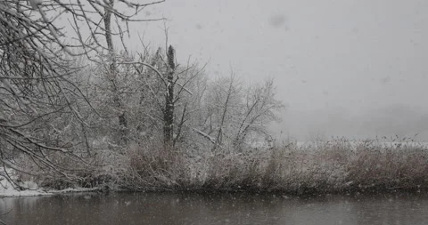 Very slowly falling snowflakes, optical flow, 4K slomo Stock Footage 169043274