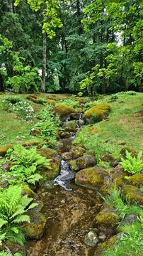 Very small stream lined with stone boulders flows through the forest in summe Stock Photos