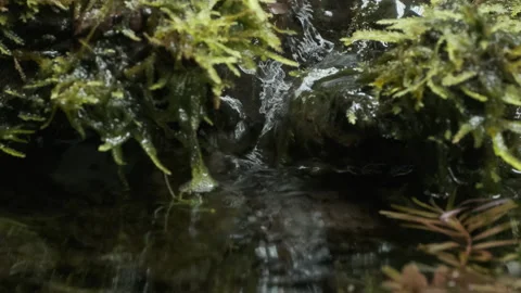 Very small waterfall Stock Footage 233284751