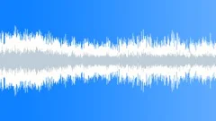 Very strident cicadas Sound Effect