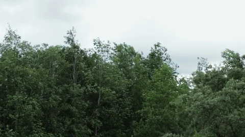 Very strong summer storm with close to hurricane force winds.  Stock Footage 112489558