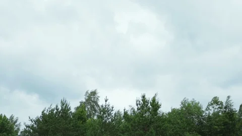 Very strong summer storm with close to hurricane force winds.  Stock Footage 112489730