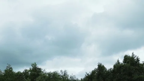 Very strong summer storm with close to hurricane force winds.  Video stock 112489805