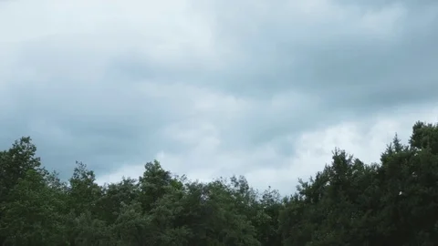 Very strong summer storm with close to hurricane force winds. Heavy strong wind  Stock Footage 112489863