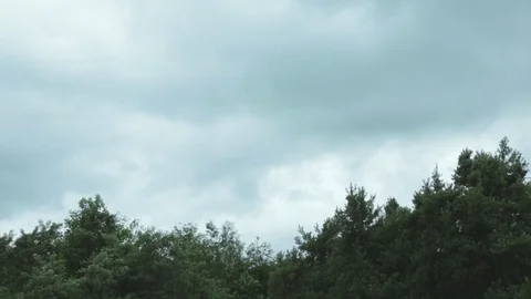 Very strong summer storm with close to hurricane force winds. Heavy strong wind  Stock Footage 112489954