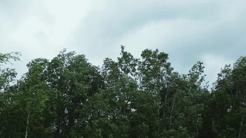 Very strong summer storm with close to hurricane force winds.  Stock Footage 112490148