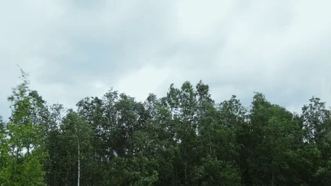 Very strong summer storm with close to hurricane force winds. Heavy strong wind  Stock Footage 112490248