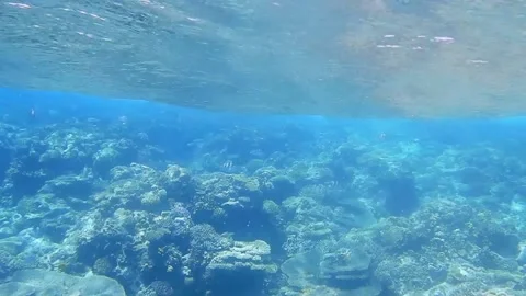Very strong waves while diving at the shore with many corals Stock Footage 151138436
