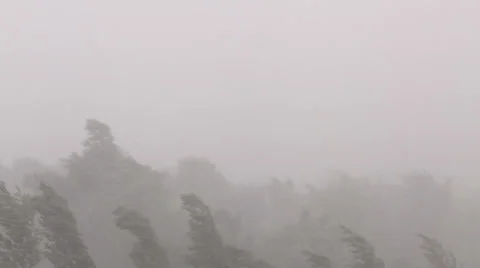 Very strong wind and rain Stock Footage