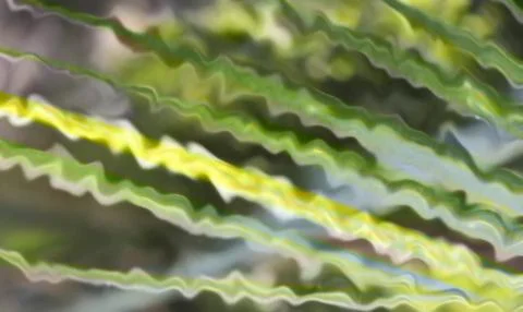 Very unique pattern defocused wave green abstract background texture. Stock Photos