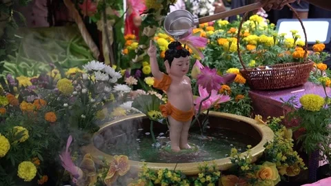 Vesak Day Stock Footage 241291937