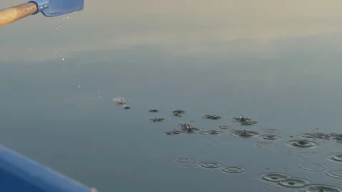 VESLA3 Stock Footage 204903044