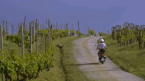 Vespa ride between vineyards Stock Footage 89996147