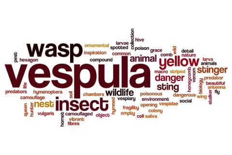 Vespula word cloud Stock Illustration