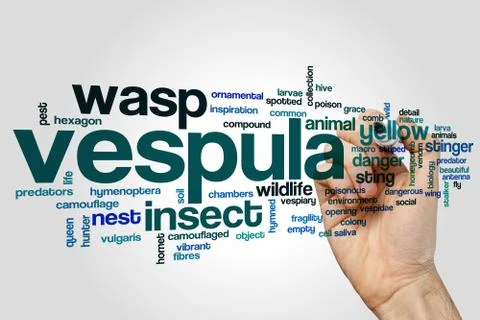 Vespula word cloud Stock Illustration