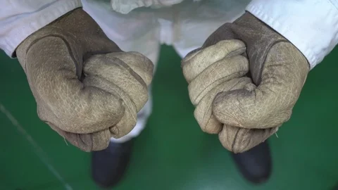 Vessel engineer hands wearing dirty leather gloves closeup Stock Footage 117587179