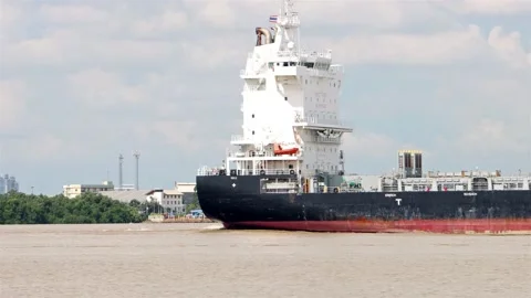 The Vessel Type Container Ship INESSA Stock Footage 221747332